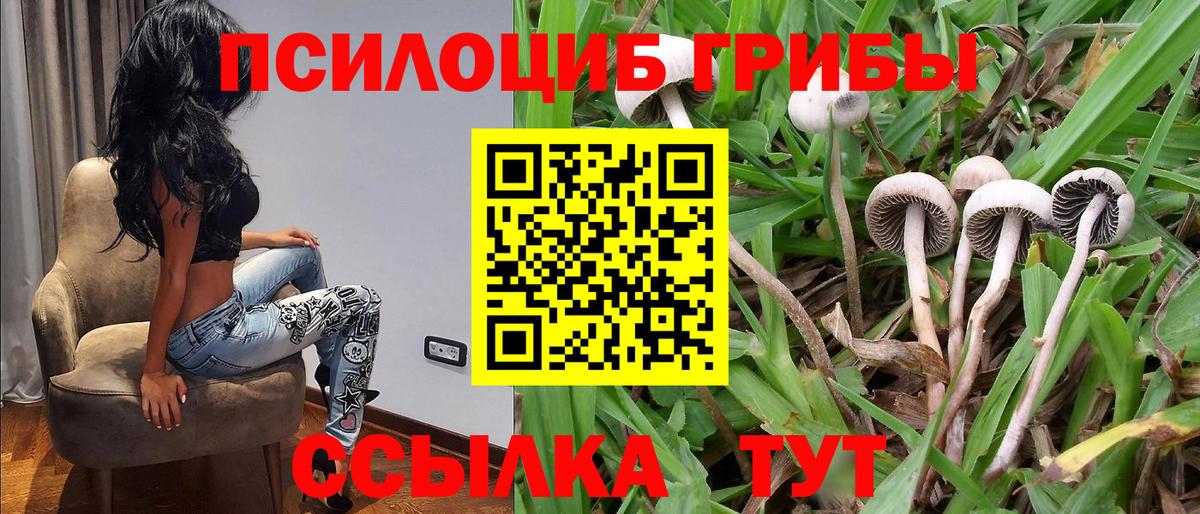 Псилоцибиновые грибы Cubensis  даркнет сайт  Зима  Вход с VPN 